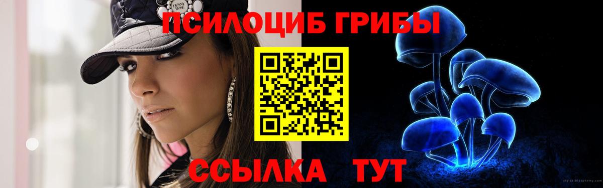 Псилоцибиновые грибы мицелий  где найти наркотики  Вход с VPN  Отрадное  Псилоцибиновые грибы Psilocybine cubensis 